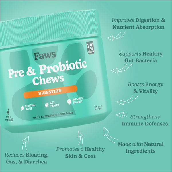 Pre & Probiotic Chews