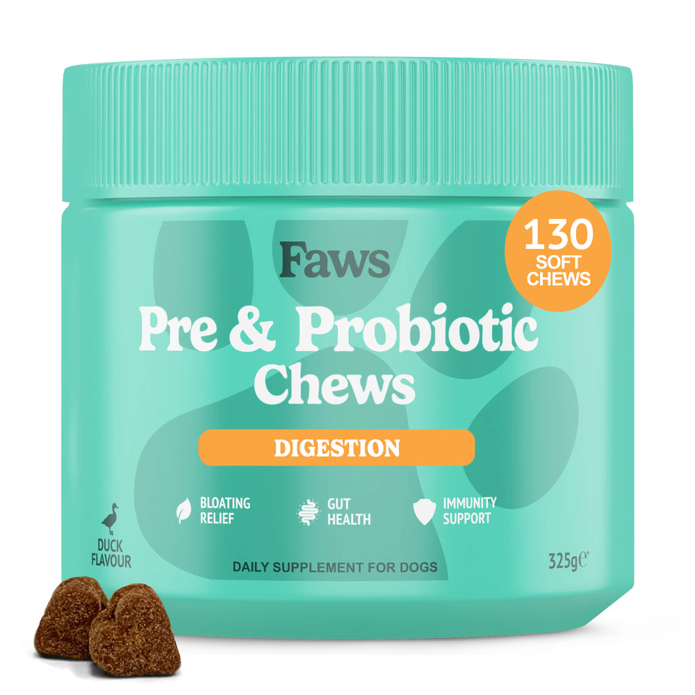 Pre & Probiotic Chews